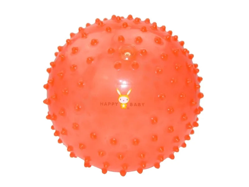 Happy Baby sensory ball