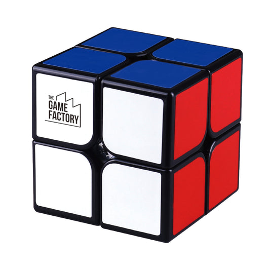 The Game Factory IQ Terning 2x2