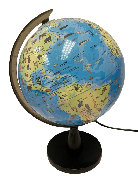 Science Globus med Dyr og Lys 20 cm