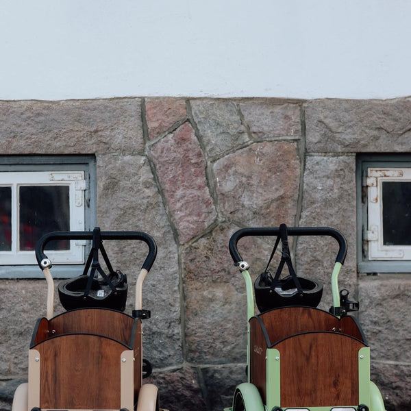 Søskendepakken - 2 børneladcykler