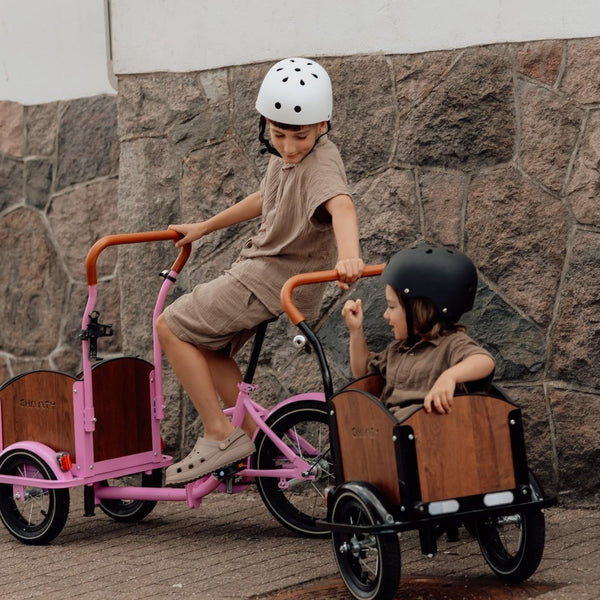 Søskendepakken - 2 børneladcykler